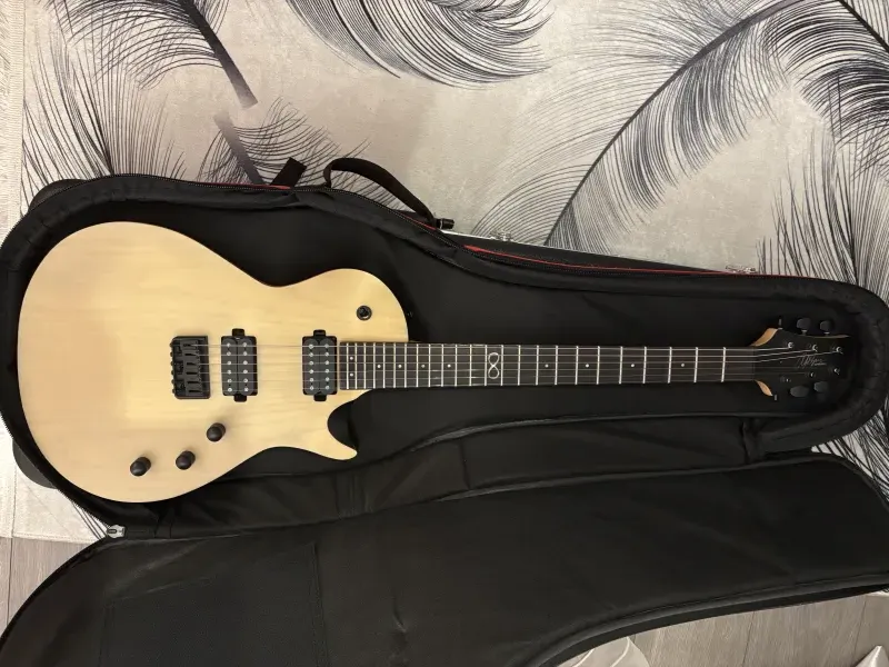 Chapman Guitars ML2 E-Gitarre