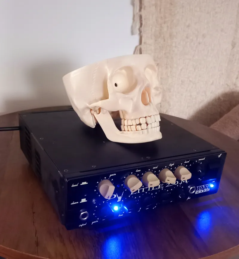 DV Mark Little 250 M Cabezal de amplificador de guitarra