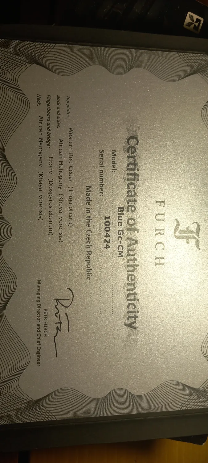 Furch Blue Gc-CM Acoustic guitar