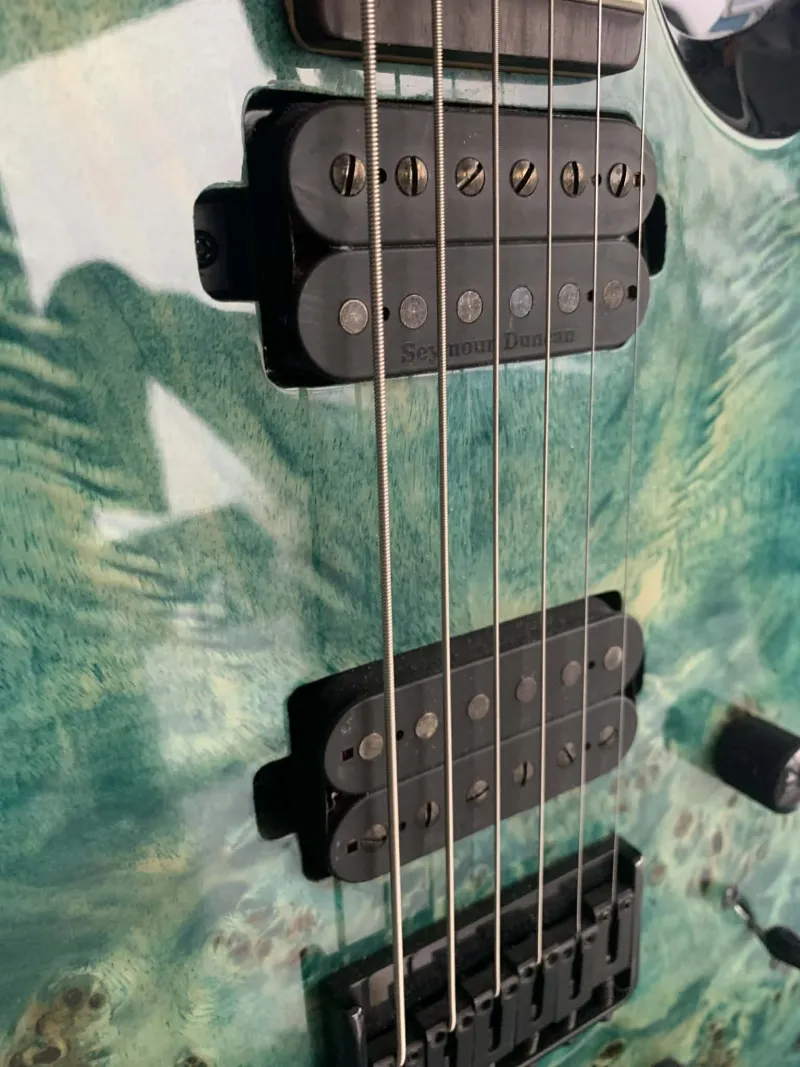 Seymour Duncan Sentient + Nazgul Pickup set