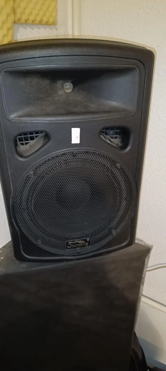 Soundking FP 0212 A Active speaker