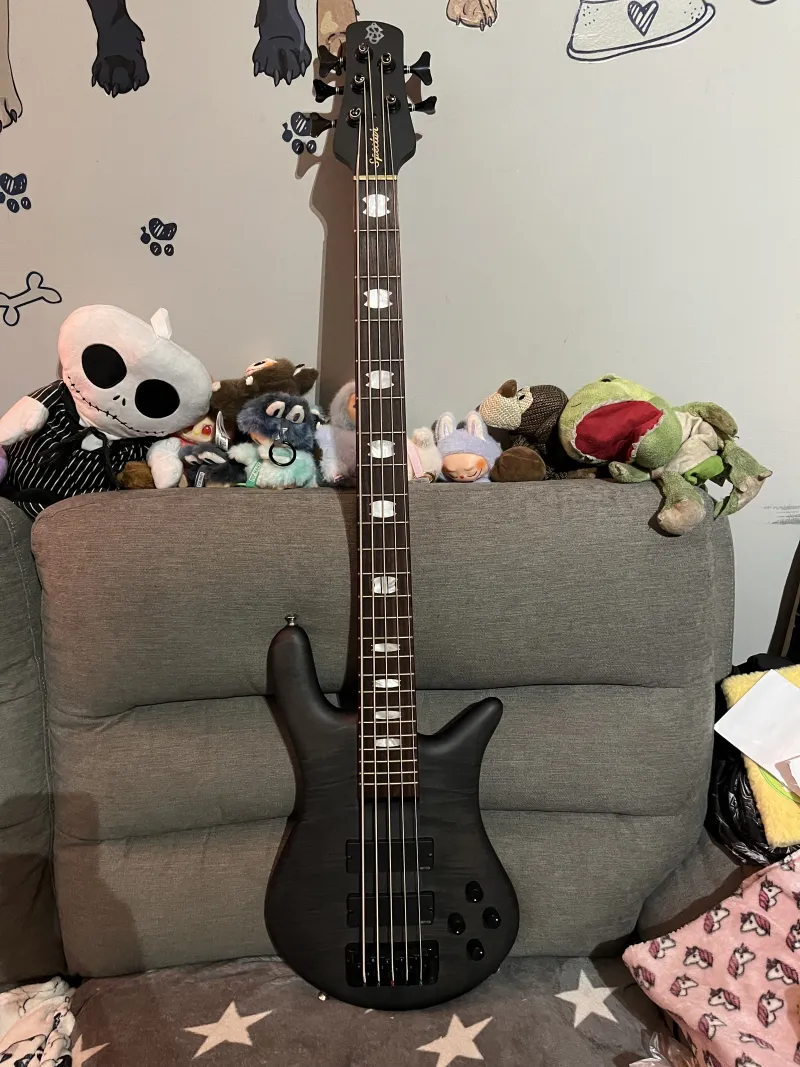 Spector Euro 5 lx 5-Saiter Bass-Gitarre