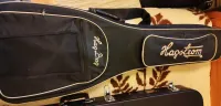 Hangström E-20 Hagbag Guitar Gig Bag
