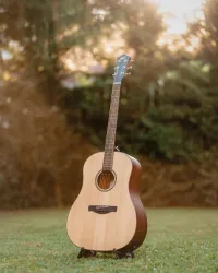 Henry`s HJD2-E Every