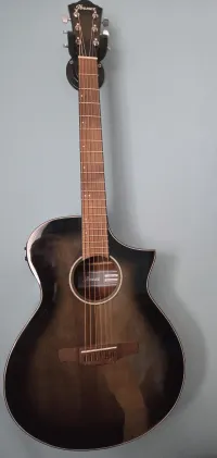 Ibanez AEWC11
