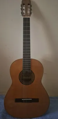 Raimundo 112 Classic guitar - Laszlo Tottos [Today, 2:07 pm]
