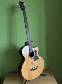 Tanglewood TAB2CE