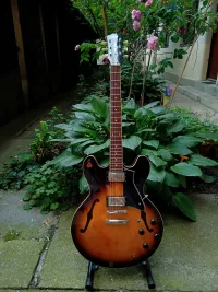 Cort Source Guitarra eléctrica - BBrúnó [Today, 12:57 am]