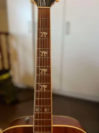 Fender Tim Armstrong