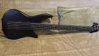 Ibanez GWB35