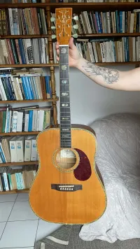 Michael Kelly Legacy Dreadnought Flame LGD-FNA Acoustic guitar - Imre.Kocsi [Today, 12:34 pm]
