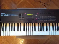Roland D-20