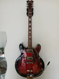 ARIA Diamond 1960 Jazzová gitara - F Csaba Lorant [Yesterday, 11:38 am]