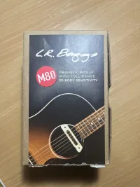 LR Baggs M80 Akustische Gitarre Elektronik - Illés Levente [Today, 8:22 pm]