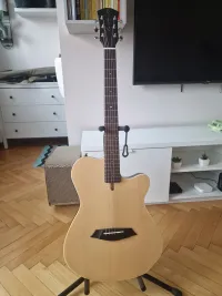 Sire Larry Carlton G5A