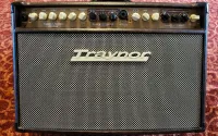 Traynor Acoustic Master Standard YS1081 Acoustic guitar amplifier - Hajdu Csaba [Today, 12:17 pm]