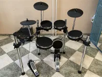 Alesis Surge