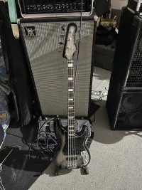 Fender Troy Sanders Precision Bass