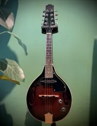 -  Electro Acoustic klassische Mandoline - Ktamas [Today, 4:48 pm]