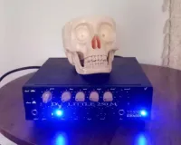 DV Mark Little 250 m