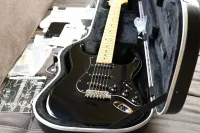 Fender American Standard Stratocaster E-Gitarre - Buddha [Today, 5:25 pm]