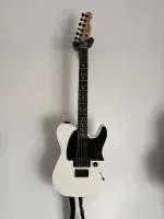 Fender Jim Root Telecaster
