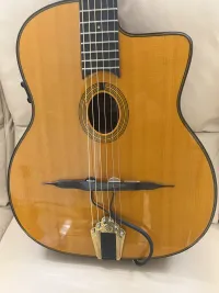 Gitane Gipsy Manouche DG255