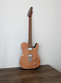 Harley Benton Fusion-T HH HT Roasted FNT