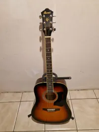 Ibanez V50NJP-VS