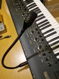 - KORG KingKorg  Limited Edition Black