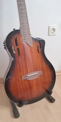 Ortega Tourplayer RTPDLX-ACA