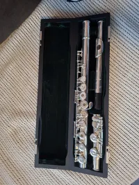 PEARL PF-525 Querflöte - Hódosi Júlia [Yesterday, 10:36 pm]