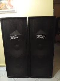 Peavey Pv215 PA System - Stryker [March 13, 2026, 1:28 pm]