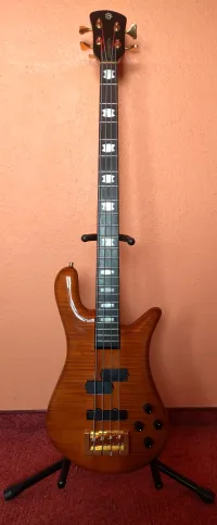 Spector NS-4CRMF Bass guitar - Robert Bankus [Today, 7:14 pm]