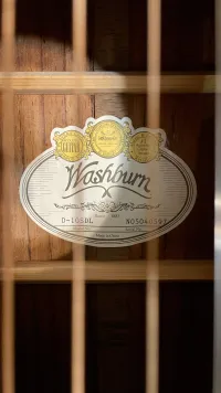Washburn D-10SDL Akusztikus gitár - Andrásy Zsolt [Ma, 10:08]