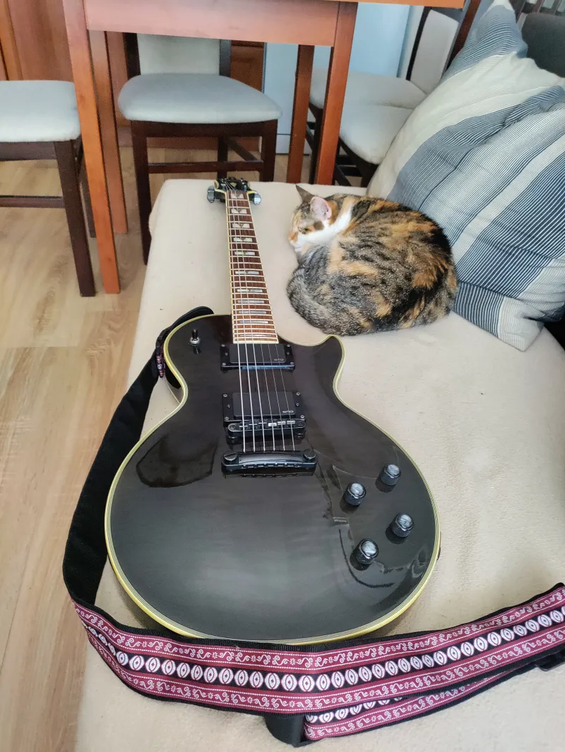 Epiphone Prophecy E-Gitarre