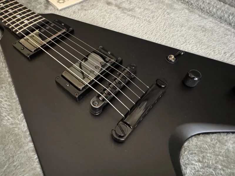 ESP Vulture James Hetfield Electric guitar