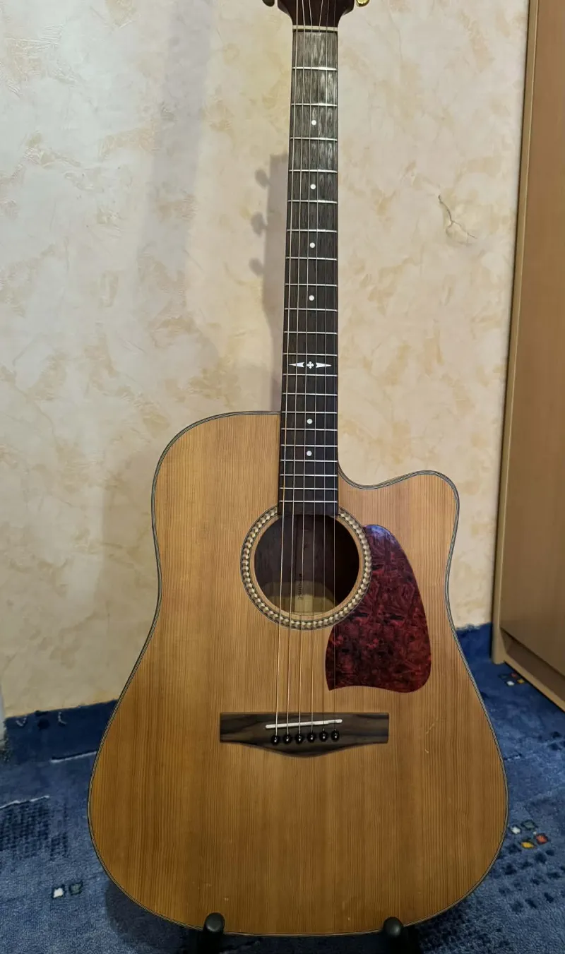 Martinez  Electro-acoustic guitar