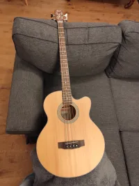 Cort SJB5F NS Bajo acústico - Maupassant [March 10, 2026, 7:21 pm]