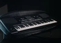 Korg PA300