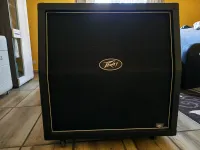 Peavey 430A Slant