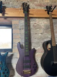 Spector Skyler Acord Signature