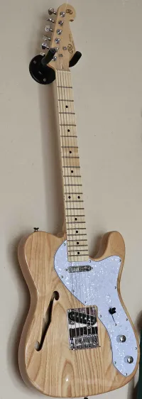 SX Thinline Telecaster