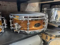 TAMA Peter Erskin signature