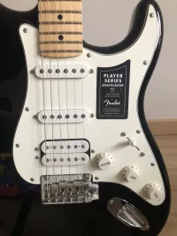 Fender Player Stratocaster HSS E-Gitarre - Mountain [Today, 8:35 pm]