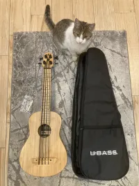 Kala U-Bass Bamboo Natural basszus ukulele Basszusgitár - Jóni [Ma, 18:19]