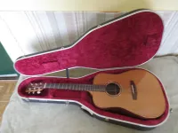 Lakewood D-14 Akustická gitara - Vertical [Today, 12:40 pm]