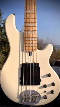 Lakland 55-02 Custom Pearl White Bass Gitarre - sztomi [Today, 2:08 pm]