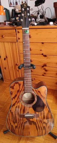 Samic Greg Bennett D-4CE