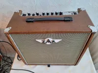 Acoustic ZAR A-40R Acoustic guitar amplifier - Shadows [April 6, 2026, 3:50 pm]